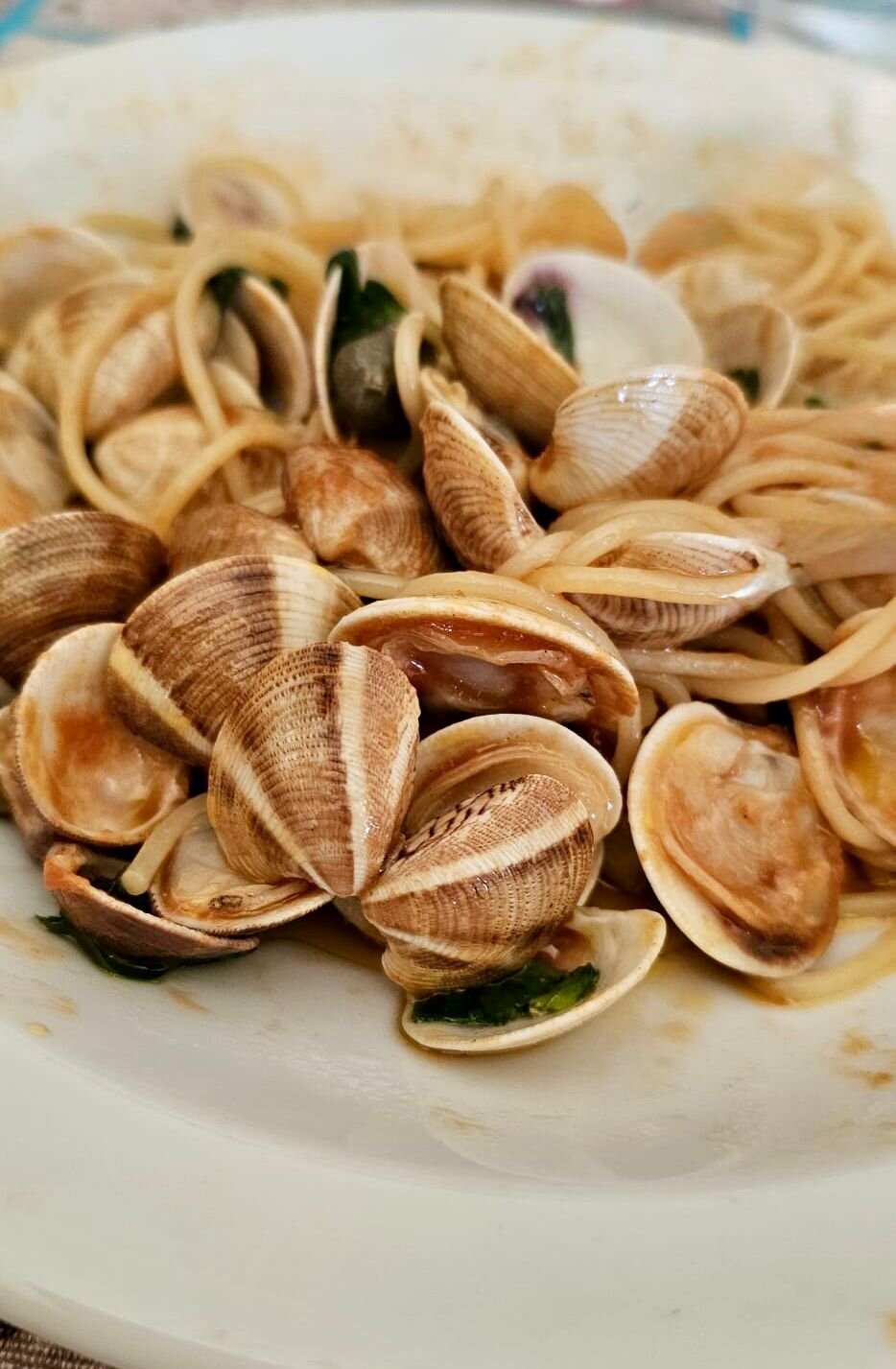Spaghetti Vongole - Spaghetti mit Venusmuscheln